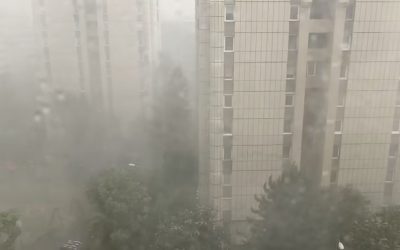 Furtună de coșmar în Brașov: Copaci doborâți, garaje inundate