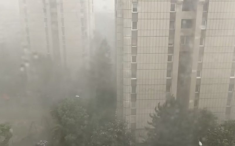 Furtună de coșmar în Brașov: Copaci doborâți, garaje inundate