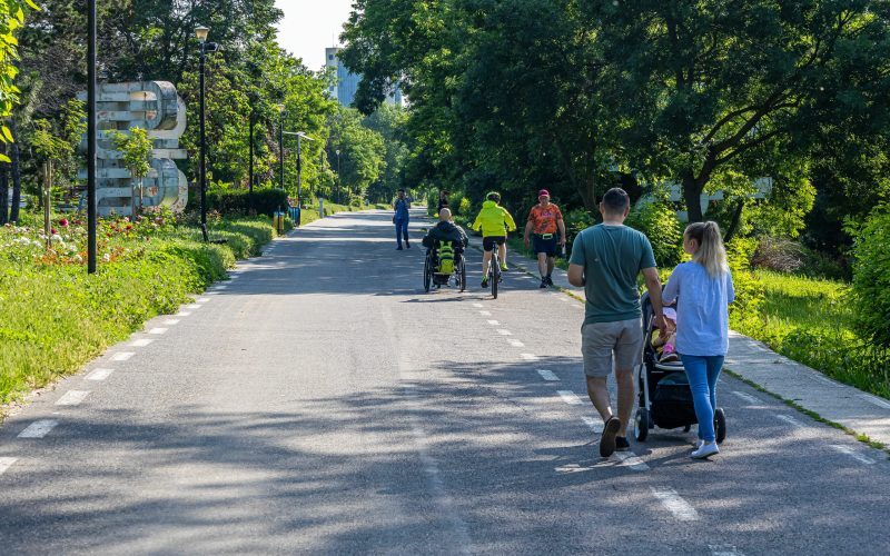 Buzoianu, avertisment pentru Galați: Sute de copaci, vizați de tăiere