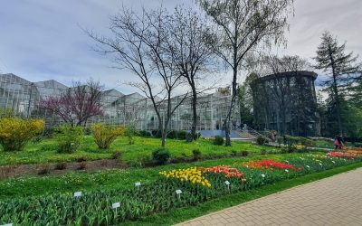 Prima grădină botanică din România: O premieră istorică