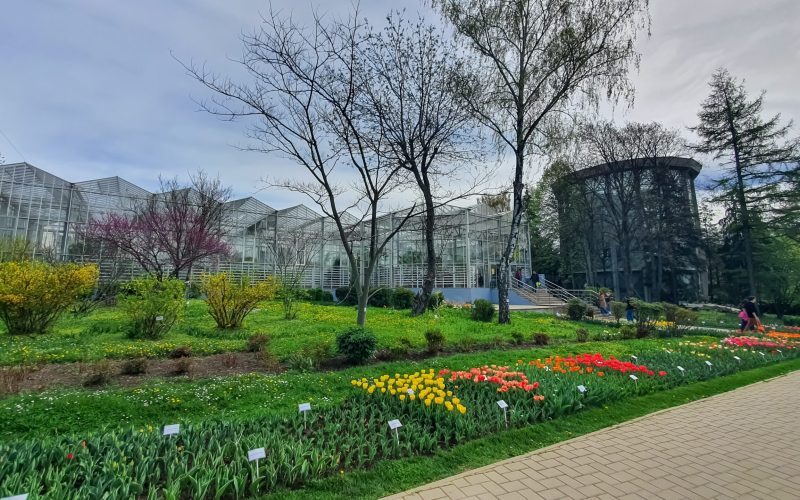 Prima grădină botanică din România: O premieră istorică