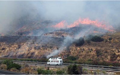 Incendii Spania: Oase regale, salvate din flăcări din mănăstire
