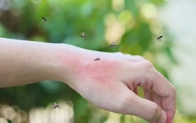 Virusul West Nile, în focare: Italia și Grecia, cele mai afectate
