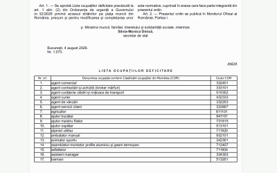 Străinii non-UE, noi șanse de muncă în România: Lista s-a extins
