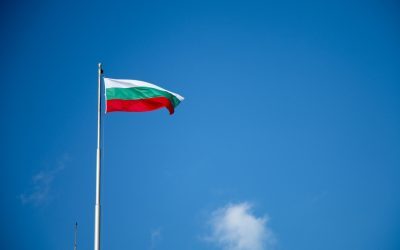 Ambasadoarea Ucrainei, la MAE Bulgaria după prăbușirea dronei