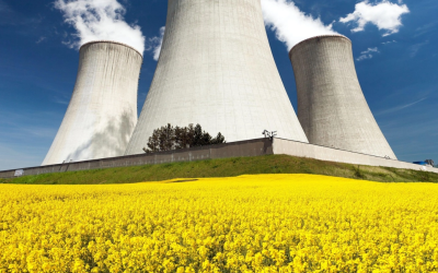 Dunărea Secată Atenționează Europa: Riscuri Nucleare în România și Ungaria