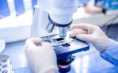 România, subperformanță la cercetare: 18,8 euro/locuitor