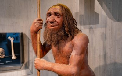 Moștenirea Neanderthal: Gene de mușchi, doar pentru unii