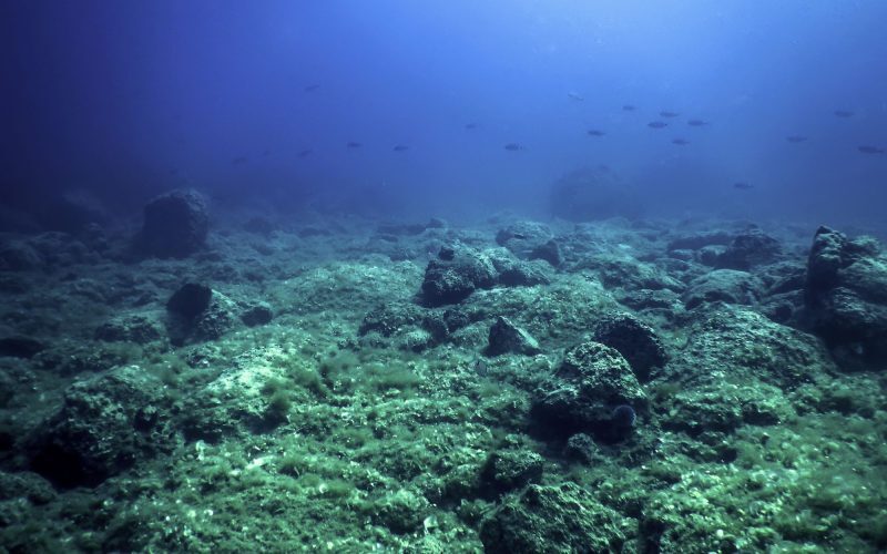 Misterul giganților dispăruți: Descoperire epocală în Australia