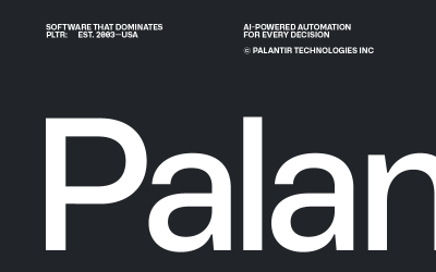 ONU riscă datele beneficiarilor cu Palantir. Auditul trage semnalul de alarmă
