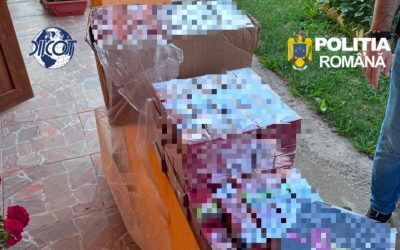 Descinderi în Neamț, Iași, Suceava: Contrabandă și grup infracțional organizat