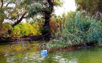 Horeca, disperare în Deltă: Canalul Uzlina, blocat, turismul suferă