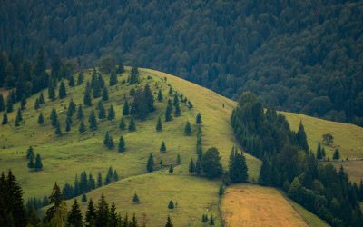Legea Biodiversității: 972 mil. Euro vs. Realitatea Crudă din România