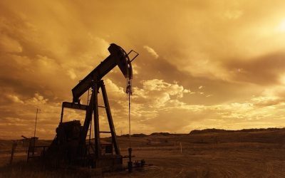 OPEC blochează creșterea cererii de petrol pentru 2026