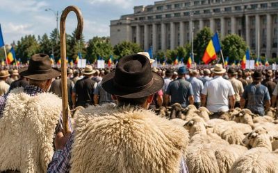 Varola la ovine/caprine: Alertă în România și Bulgaria, focare ascunse