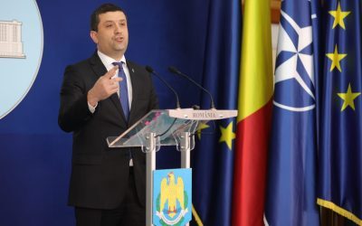 Miruță: Armata fără profesioniști e o iluzie