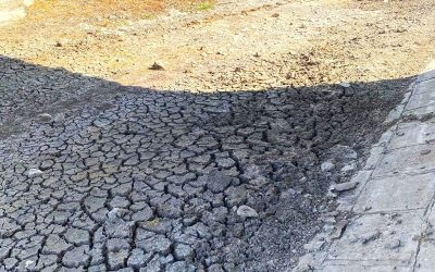 Secetă cruntă în Bihor: 33 de localități, peespere apă!