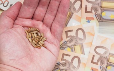 Consiliul Concurenței: 21 de companii, amendate cu 15,87 mil. EUR, au prădat fermierii români