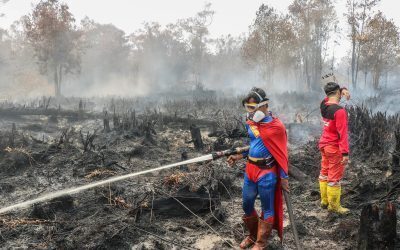 Borneo: Adolescentul „Superman” se luptă cu flăcările din pădure