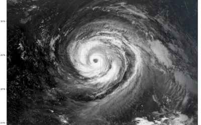 Japonia sub asalt: Evacuări și 500 de zboruri anulate din cauza taifunului