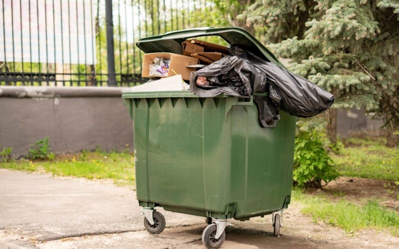 Scapă de muștele de la tomberon. Trucuri simple pentru zile călduroase