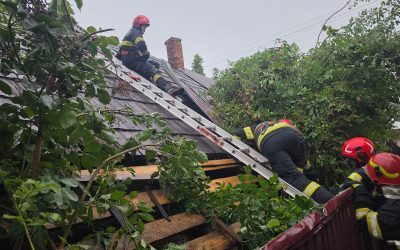 Vânt năprasnic în Suceava: Acoperișuri smulse, copaci doborâți