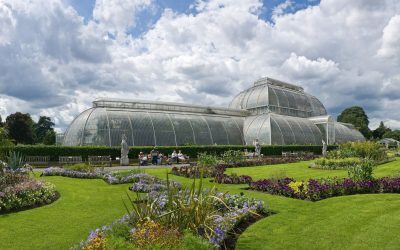 Londra: Prima lună fără ploaie din 1871 încoace. O premieră istorică