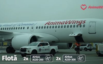 AnimaWings, datorii uriașe la stat. Compania, sub avionul interdicției de zbor