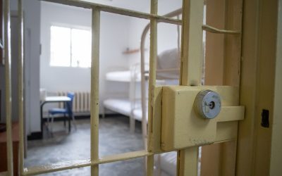 Rusiei i se dau 3 ani pentru o donație, AUR vrea transparența totală a ONG-urilor