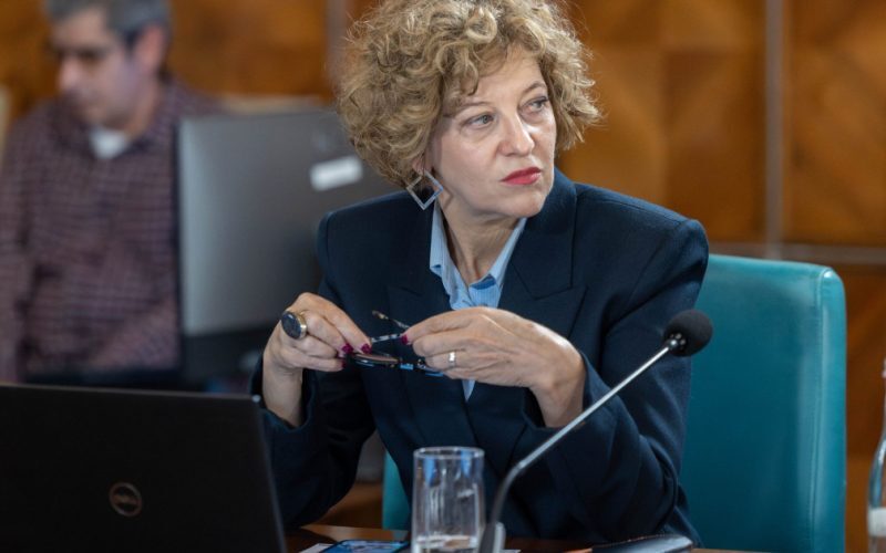 Oana Gheorghiu: Sărutul drapelului forțat, o idee aberantă