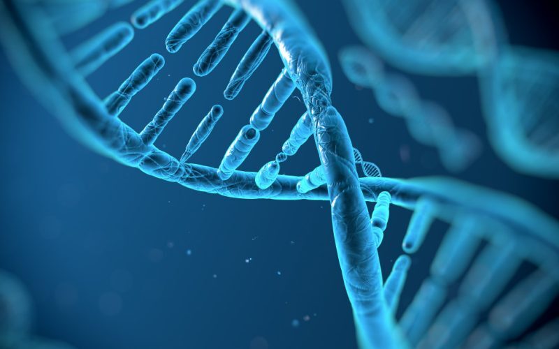 ADN-ul gunoi, mină de AUR pentru tratarea cancerului