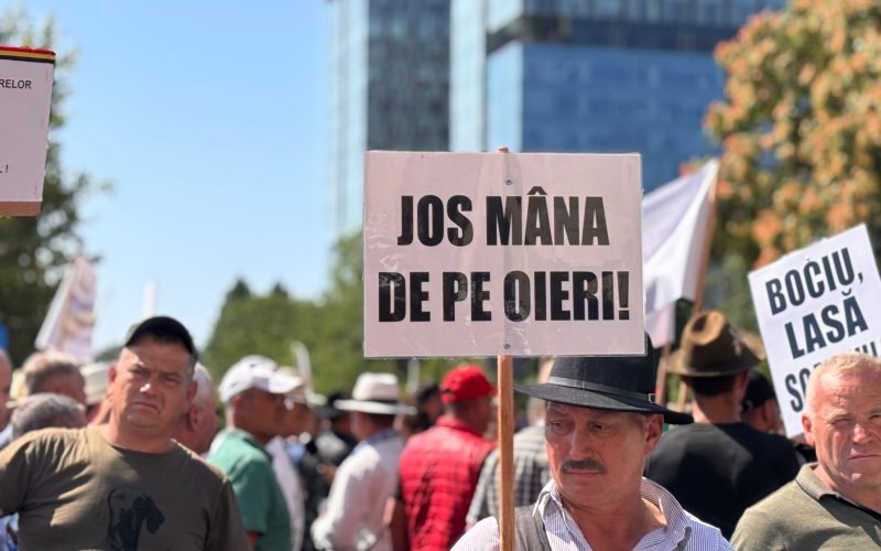 Ciobanii blochează Bucureștiul: Pesta, motivul furiei