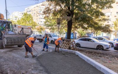 București: 200.000 de arbori transformă Calea 13 Septembrie