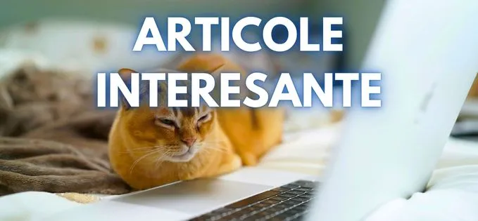 Articolele zilei: 20 septembrie 2026