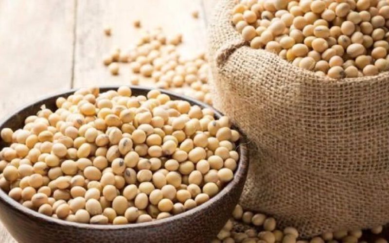 Alimentul-minune care imită estrogenul: Ce se întâmplă zilnic la menopauză