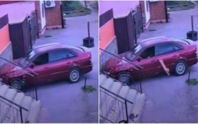 Pisică șofer: A furat mașina, a provocat accident și a fugit