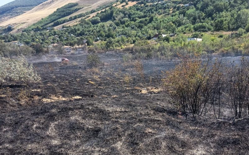 Incendiu vasluian: 12 hectare arse, 7 case scăpate