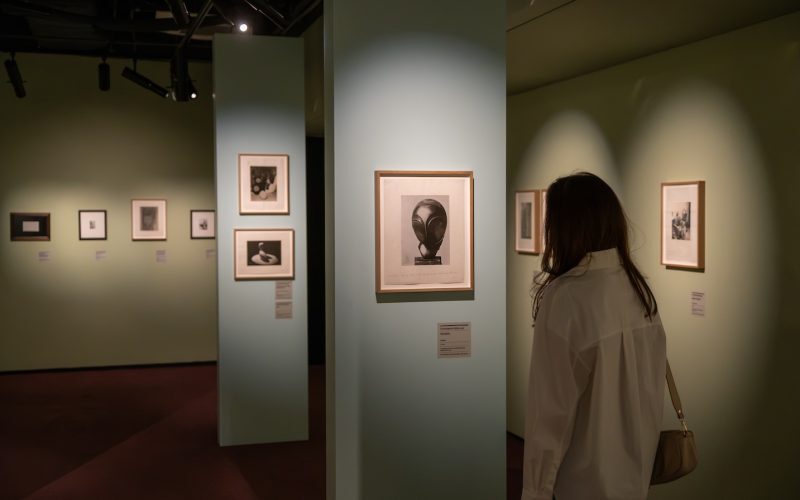 București: De la Brâncuși și Miro la artă tânără