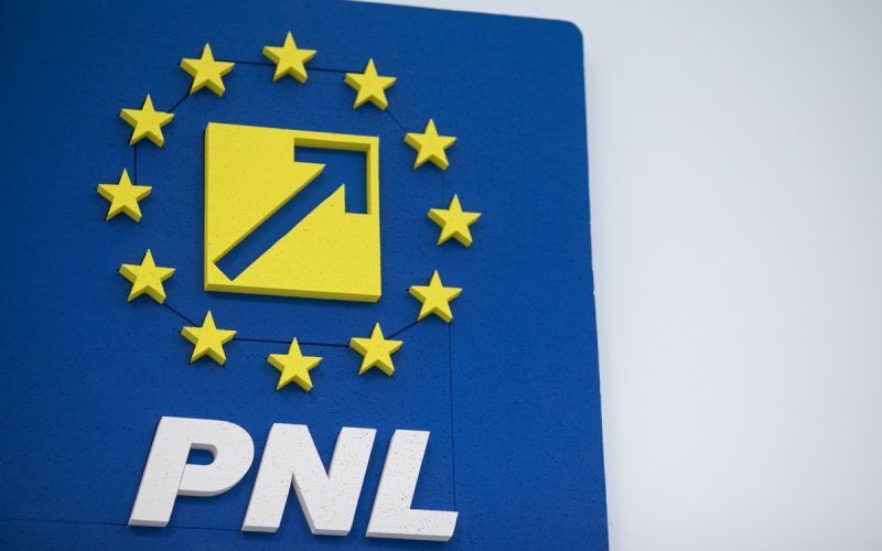 PNL, decizie crucială: Analiză pentru votul de învestitură Niculescu