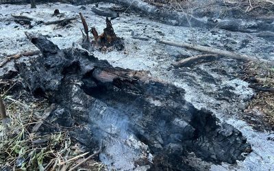 Incendiu izbucnit în Tulcea după prăbușirea unei drone în Plauru
