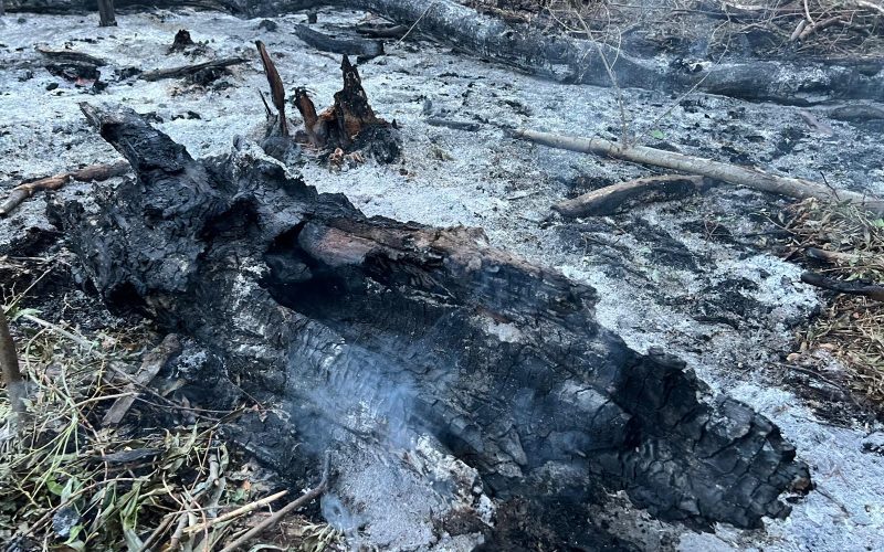 Incendiu izbucnit în Tulcea după prăbușirea unei drone în Plauru