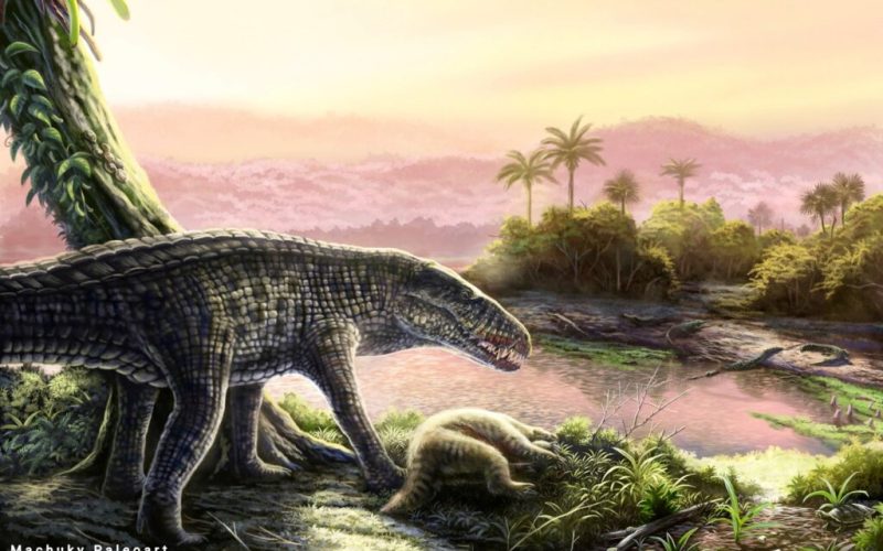 Crocodil antic, 45 mil. Ani, blocul Sfinxului dezvăluie secrete